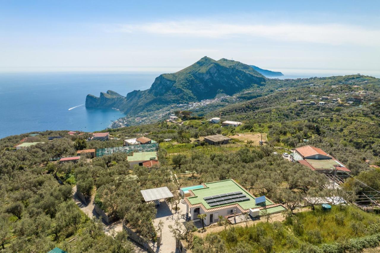 Villa Rusinella Minimalist Retreat With Sea Views Massa Lubrense Exterior photo